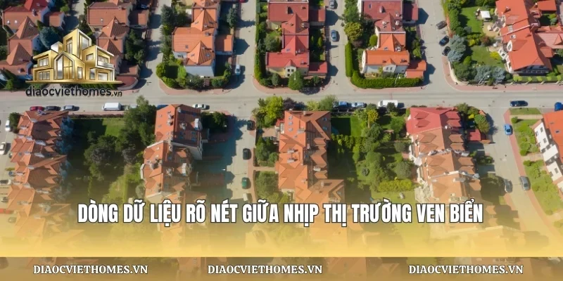 Dòng dữ liệu rõ nét giữa nhịp thị trường ven biển
