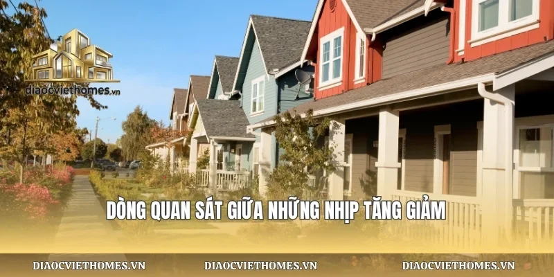 Dòng quan sát giữa những nhịp tăng giảm