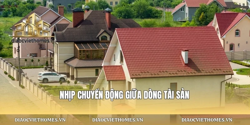 Nhịp chuyển động giữa dòng tài sản