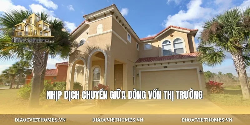 Nhịp dịch chuyển giữa dòng vốn thị trường
