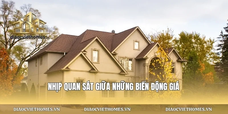 Nhịp quan sát giữa những biến động giá