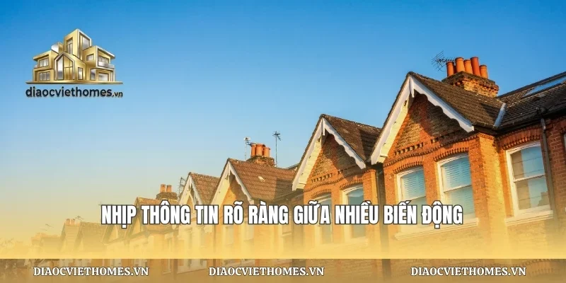 Nhịp thông tin rõ ràng giữa nhiều biến động